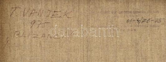 Wanyek Tivadar (1910-1981): Ikrek. Olaj, vászon. Jelzett. Hátoldalán autográf felirattal. Fa keretbe...