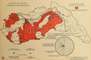1941 Mezőgazdaságunk irányításának alapjai, szerk. Beke László, M. Kir. Földművelésügyi Minisztérium