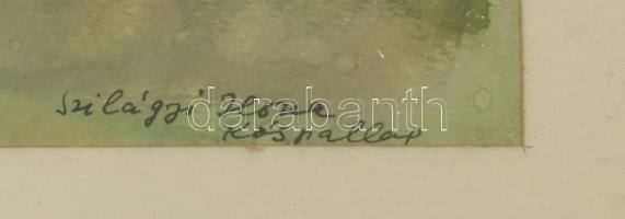 Szilágyi Ilona (1904-1985): Kóspallag. Akvarell, papír, jelzett, üvegezett fa keretben, 34x40,5 cm