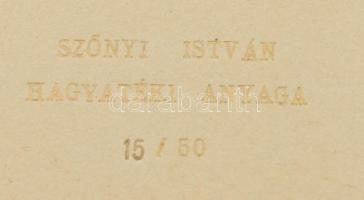 Szőnyi István (1894-1960): Porté. Rézkarc, papír, hagyatéki sorszámozott paszpartuval, üvegezett ker...