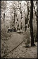 II. világháborús kisfilm negatívok, 10 kocka