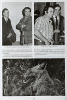 Dénes István: Millenniumi Vadászati Almanach - Magyarország 2001. Szerk: Fáczányi Ödön. Bp., 2001, D...