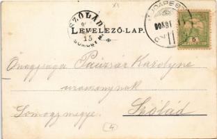 1905 Budapest XI. Kelenföld, Mattoni-féle Erzsébet Sósfürdő, villamos, villa. Posner litho