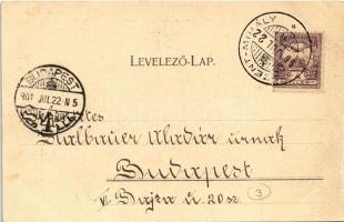 1901 Budapest XVI. Rákosszentmihály, Almássy Pál telep lóvasút végállomás. Kiszer N. 114