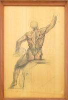 Tápai Antal (1902-1986): Anatómiai tanulmány. Ceruza, papír, jelzett. Üvegezett fa keretben, 62×42 cm