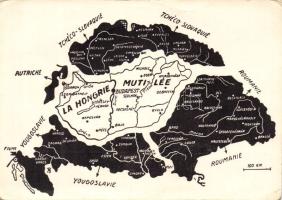 Hungarian propaganda