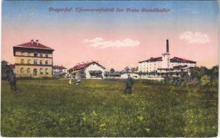Pragersko, Pragerhof; Thonwarenfabrik des Franz Steinklauber / pottery factory. Verlag Amalie Churfürst (EK)