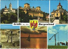1965 Burgenland: Forchtenstein, Eisenstadt-Schloss und Bergkirche St. Margarethen, Neusiedlersee, Seewinkel
