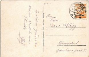 1927 Ternitz a.d. Südbahn, Schneeberg, Eisen- und Stahlwerke / iron and steal works, factory