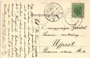 1907 Wöllersdorf (Wiener Neustadt), K.k. Munitionsfabrik Centrale / Ammunition factory