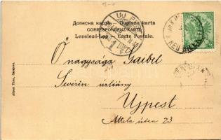 1904 Sarajevo, Wochenmarkt. Albert Thier / week market, vendors