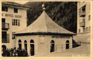 Peio, Pell (Südtirol); Antica Fonte Pejo, Hotel Oliva