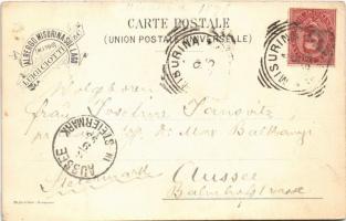 1896 (Vorläufer!!!) Pieve di Cadore, Monumento a Tiziano, Hotel Al Progresso, Albergo Misurina sul L...