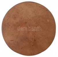 Osváth Mária (1921-1998) 1981. "Toulouse-Lautrec 1864-1901" egyoldalas Br plakett (325g/10...