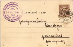 1901 Szebenjuharos, Hohe Rinne, Paltinis; Grüss aus den Siebenbürgischen Karpaten! Presba-Schutzhütt...