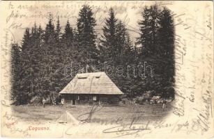 1908 Lopusna, Lopushna, Lopusno; cottage (tear)