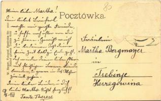 1911 Kamianka-Buzka, Kamionka Strumilowa, Kamianka Strumilova; Kasa zaliczkowa, C. k. Sad, Apteka, T...