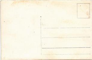 Harsova, Blick auf Harsova / general view, MFTR barges. photo (fl)