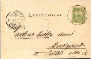 1904 Stószfürdő, Stoósz-fürdő, Kúpele Stós; Dr. Czirfusz villa. Wlaszlovits Gusztáv 1307. / villa