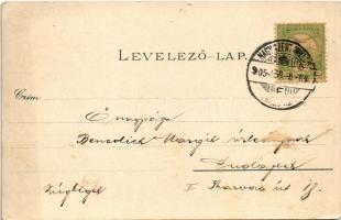 1905 Nagyszentmiklós, Sannicolau Mare; Náko utca, Sörfőzde, városház, Czenzinger szálloda, Révay szo...