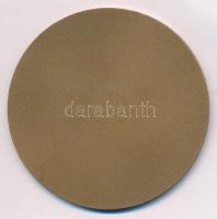 ~1970. "Tiszai Erőmű Vállalat - Leninváros" Br emlékérem (69mm) T:1-