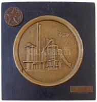 ~1970. "Az Ózdi Vasas Repülő Klub ajándéka a II. Kongresszus tiszteletére" kisméretű, gravírozott Br plakett (47x18mm) + "MRSZ (Magyar Repülő Szövetség)" Br emlékérem (39mm) + "Ózd" öntött Br emlékérem (144mm). Mind a három emlékérem egy, a hátoldalán akasztóval rendelkező, lakkozott fa talapzaton rögzítve (196x197mm) T:1-