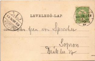 1903 Győr, vasútállomás mozdonyfordítóval, fordítókorong. Nitsmann József kiadása