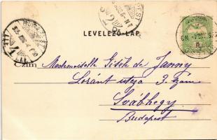 1905 Kölesd (Tolna), Hiemer-Jeszenszky-kastély