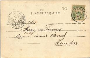 1903 Kiskőszeg, Batina (Darázs, Draz); photo (EK)