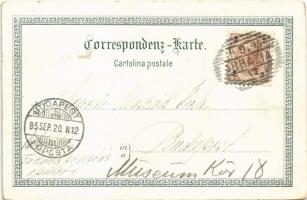 1895 (Vorläufer!!!) Abbazia, Opatija; V. Friedrich Schüler-Strandweg, Hotel Quarnero, Hotel Stefanie...