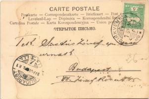 1907 Crikvenica, Cirkvenica; Vinodolska dolina kraj Cirkvenice / valley, bridge (fa)