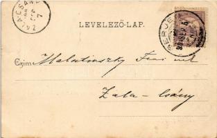 1904 Gerjen, Kovács-puszta, Mádi Kovács kastély nyugati oldala, 35 éves fenyőfa (EK)