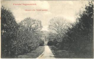 1911 Nagysomkút, Somcuta Mare; Gróf Teleki kastélypark / castle park (EK)