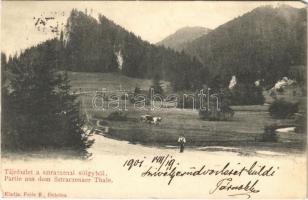 1901 Dobsina, Dobschau; táj részlet a Sztracenai völgyből. Fejér E. kiadása / Partie aus dem Sztraczenaer Tale / Stratena Valley (EM)
