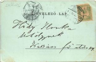 1902 Nagysáros, Velky Saris; Sáros vár romjai. Eperjes vidéke. Cattarino S. kiadása / Sarissky hrad ...