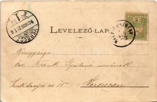 1903 Balatonberény, Déli vasútállomás. Neumark Adolf kiadása (EK)