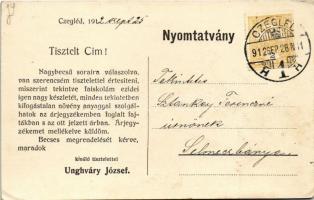 1912 Cegléd, Unghváry József faiskolája, faiskola részlet. A beültetett faiskola-terület nagysága 85...