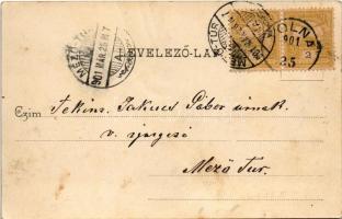 1901 Tolna, M. kir. selyemfonoda gyár, belső. Weltmann Ignác kiadása, Art Nouveau