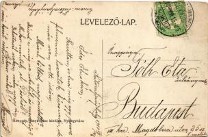 1910 Nyírpazony, Berta szőlőtelep, villa, kert. Hunyady fényképész kiadása (EK)