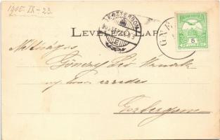 1905 Gnézda, Gnazdy, Hniezdne; fürdő épületek és pavilon / spa, bath, buildings and pavilion