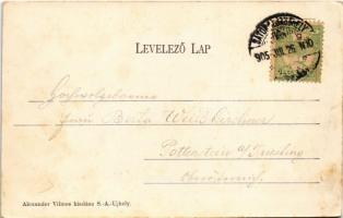 1905 Sátoraljaújhely, Rákóczi utca, Nagy Ferenc és Róth Vilmos üzlete. Alexander Vilmos kiadása