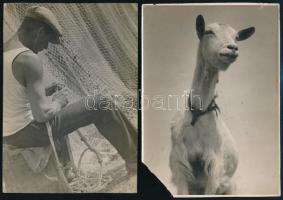 Seiden Gusztáv (1900-1992): 4 db fotó, közte 1 db hátoldalon feliratozva, egyik sérült, 12×17 cm