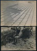 Seiden Gusztáv (1900-1992): 4 db fotó, közte 1 db hátoldalon feliratozva, egyik sérült, 12×17 cm