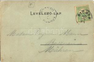 1902 Pozsonyborostyánkő, Stupavsky Podzámok, Borinka (Stomfa, Stupava); Borostyánkő vára. Wiesner Al...