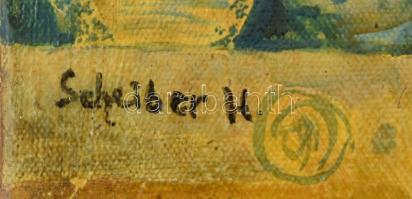 Scheiber H jelzéssel: Hölgy arcképe. Olaj, vászon. Jobb alsó sarkában kissé sérült. 30x40 cm