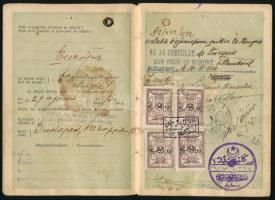 1926 20 ezer K díjjegyes útlevél, benne fotó és török, román okirati illetékbélyegek a távmunka végz...