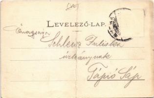 Nyitra, Nitra; Hungária szálloda / hotel (fa)