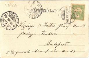 1903 Léva, Levice; Római katolikus templom. Dukesz Lipót kiadása / Catholic church. Floral (EB)