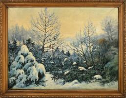 Olvashatatlan jelzéssel: Madarak a havas fákon. Olaj, vászon. Dekoratív, kissé kopott fa keretben. 60×80 cm