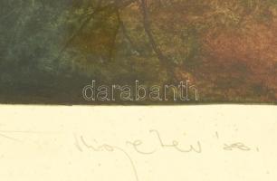 Kiss Péter (1957-): Siketfajd. Színes rézkarc, papír, jelzett, művészpéldány E.A. V/XXX. számozással...